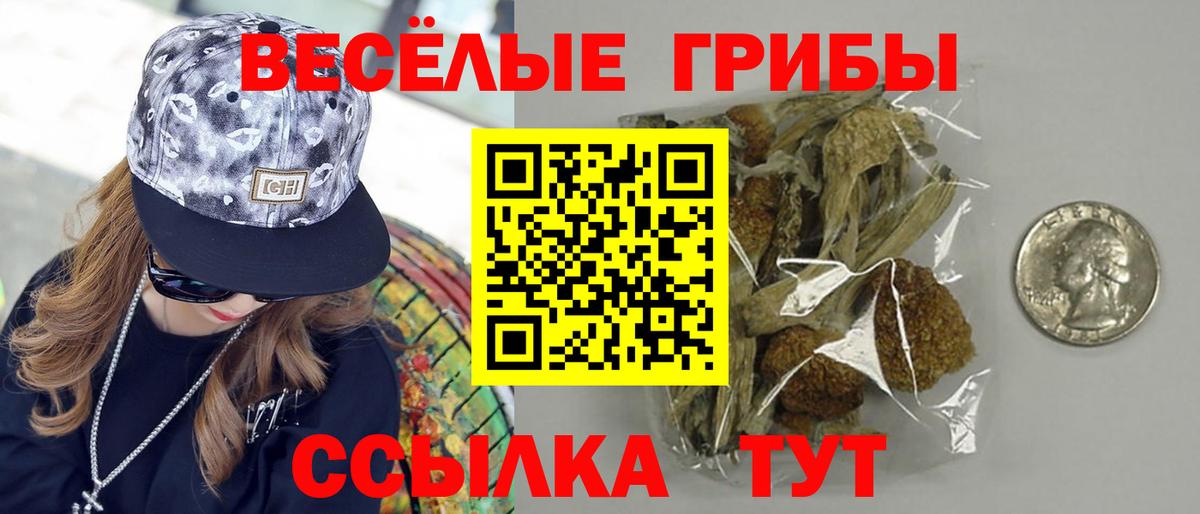 Галлюциногенные грибы Psilocybe  Вход с VPN  Волжск 