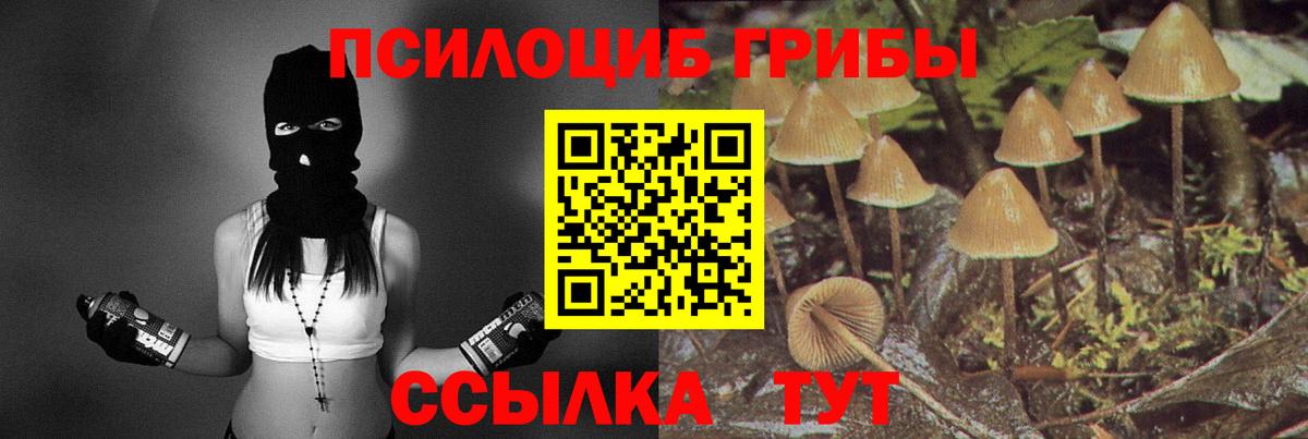 Псилоцибиновые грибы мицелий Волжск