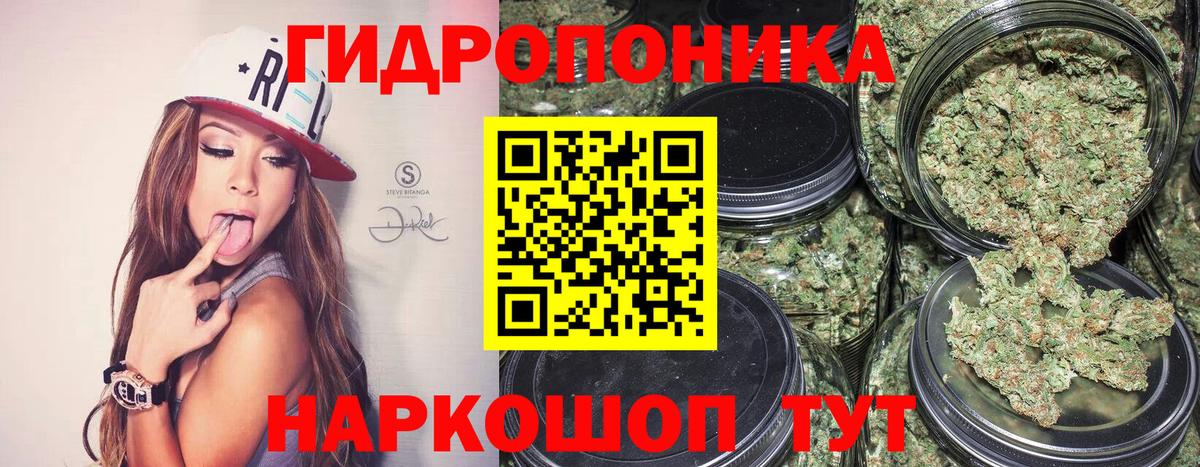 Марихуана конопля  Каннабис марихуана  Волжск  Вход с VPN  Бошки марихуана семена 